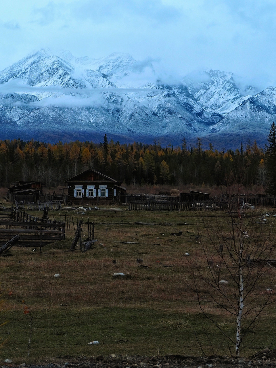 Бурятская деревня в сумерках — Suzuki Alto (8G)