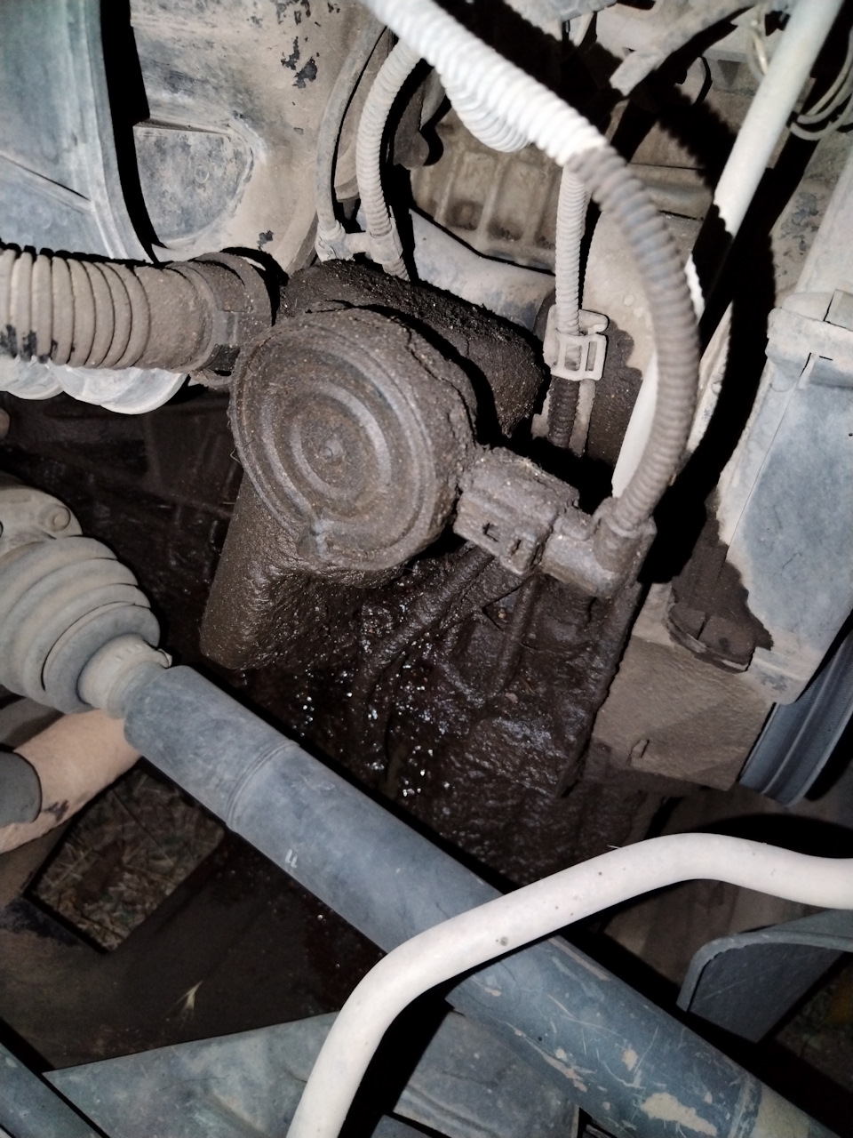 Течет антифриз с двигателя 1.4 bca — Skoda Octavia Mk1, 1,4 л., 2008 ...