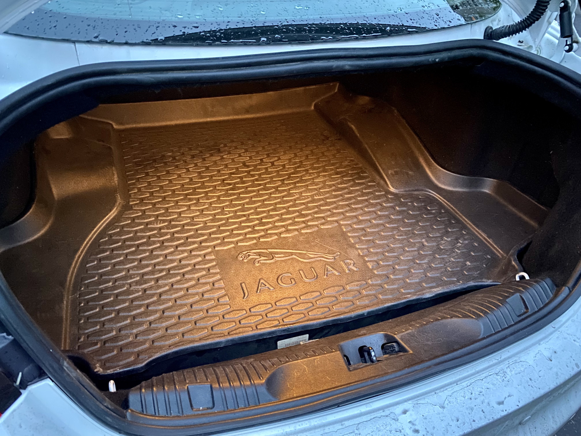 Корыто в багажник — Jaguar XF (1G), 3 л, 2013 года | аксессуары | DRIVE2