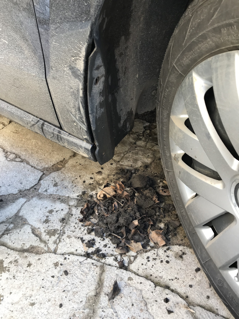 Грязь под локером — Volkswagen Polo Sedan