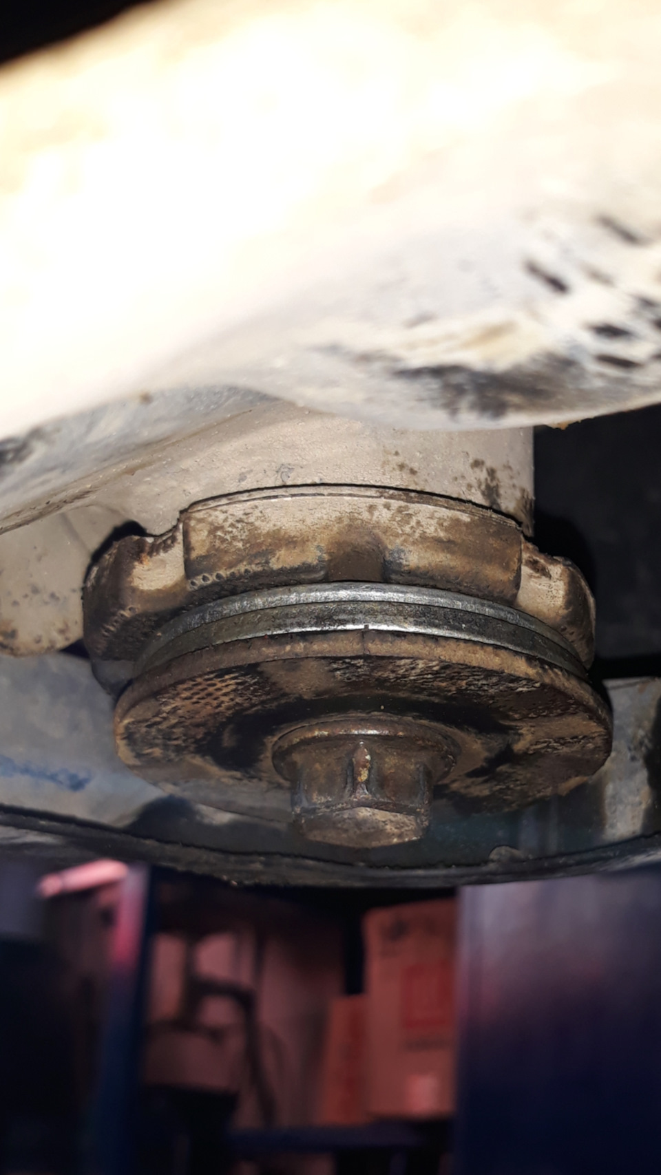 Фото в бортжурнале Nissan X-Trail II (t31)