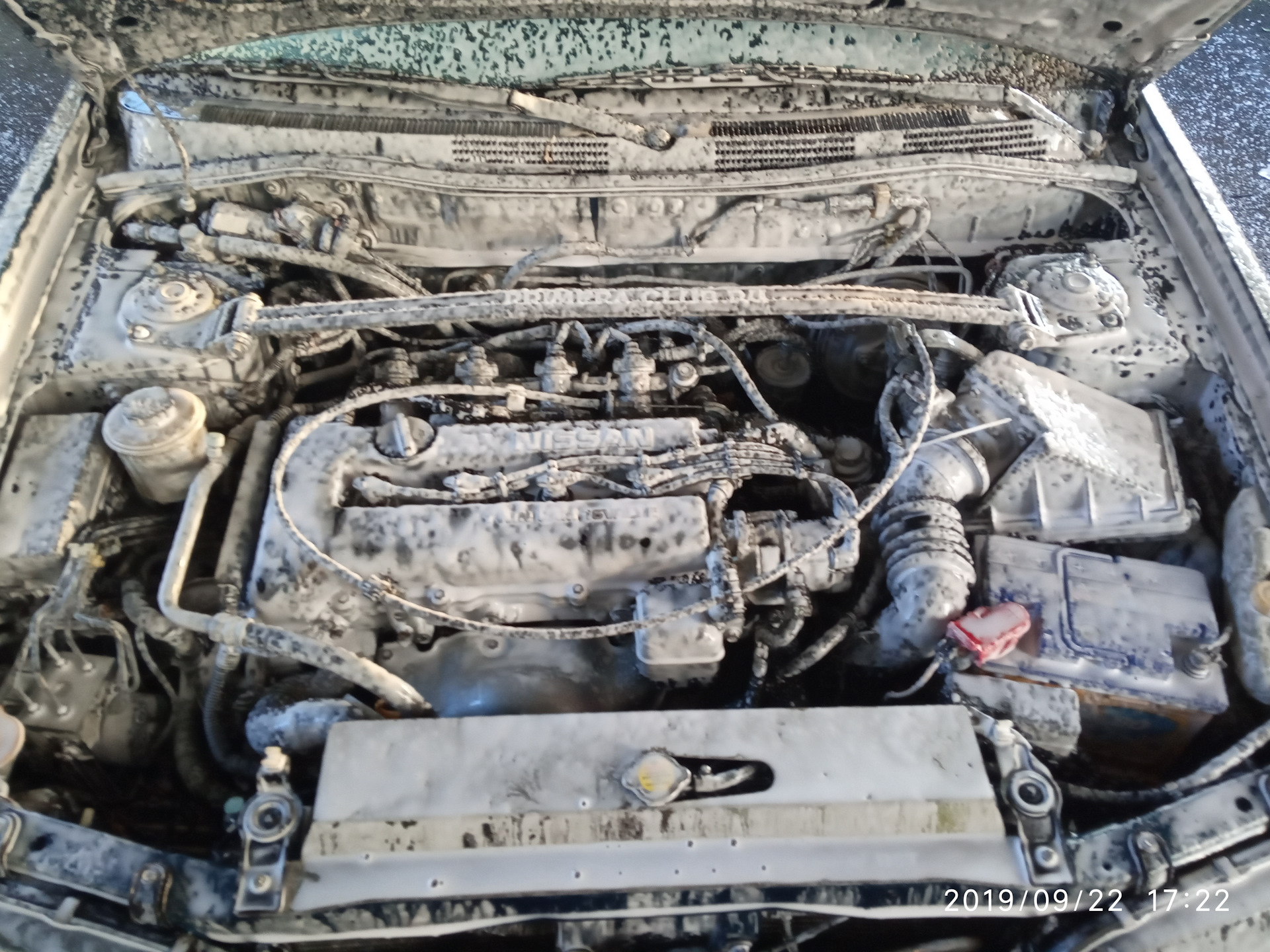Где находится стартер на sr20 Замена стартера на японский SR20DE плюс Антикор - Nissan Primera Wagon (W11), 2 