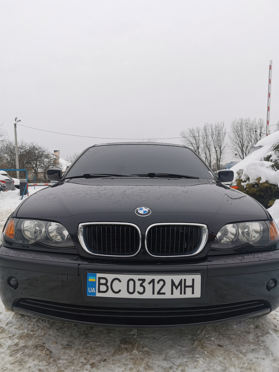 С этого все началось)) — BMW 3 series (E46), 2 л, 2003 года | покупка машины  | DRIVE2