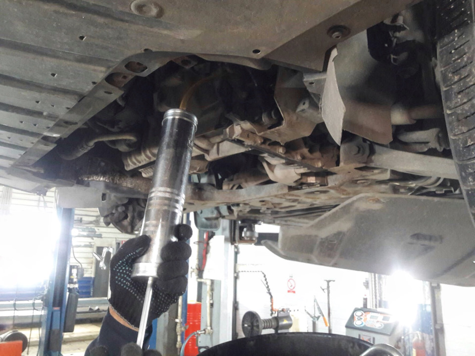 Новое настоящее оригинальное масло. — Ford Focus Hatchback III