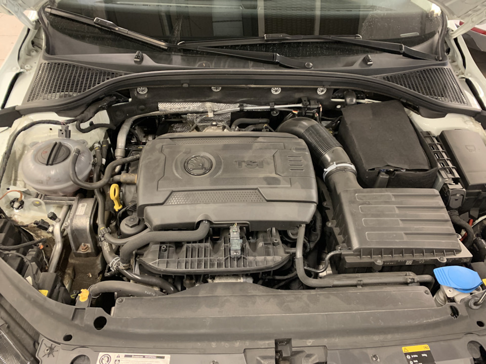 Чуть в пыли — Skoda Octavia A7 Mk3