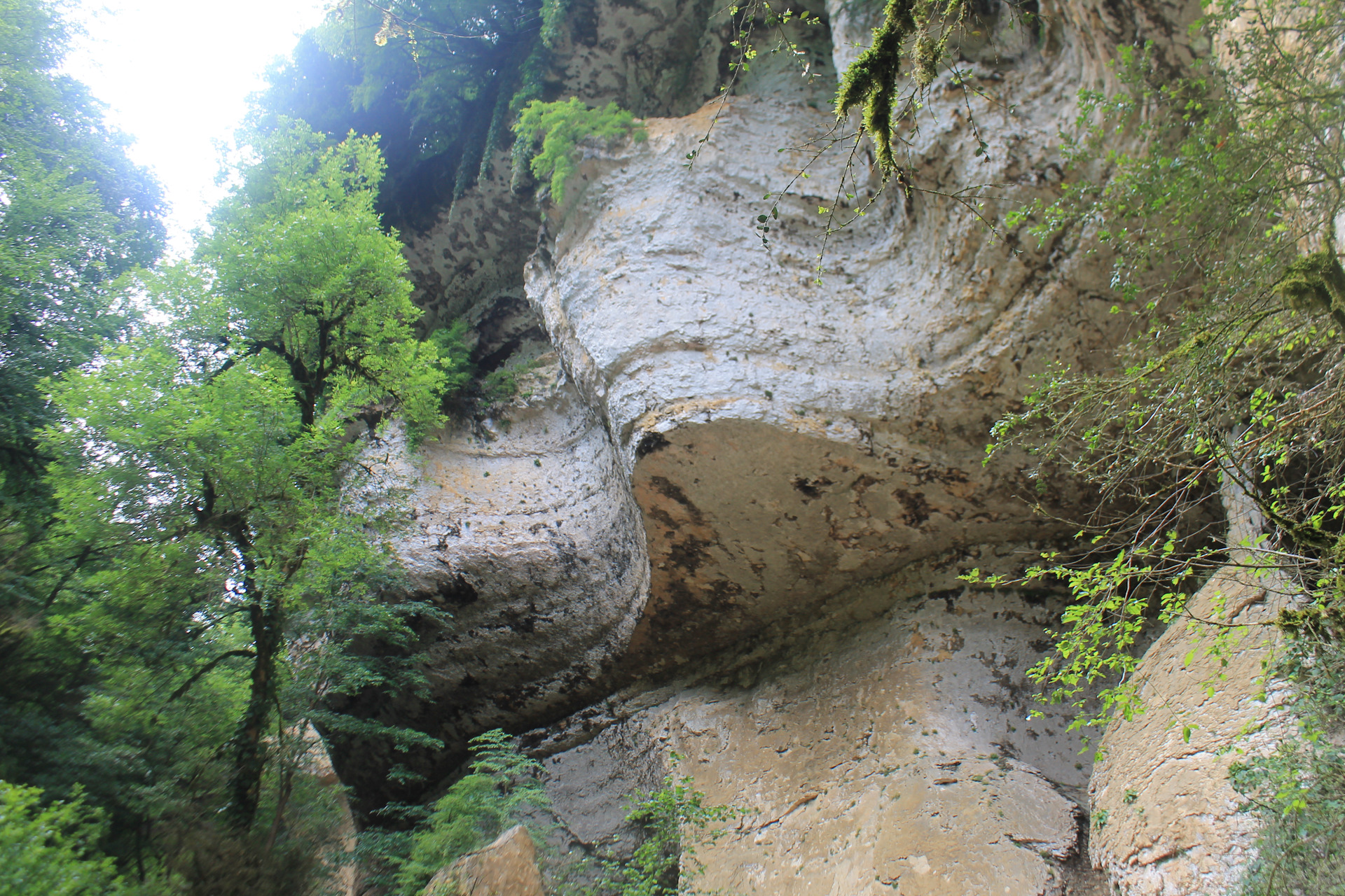 Абхазия в начале мая фото