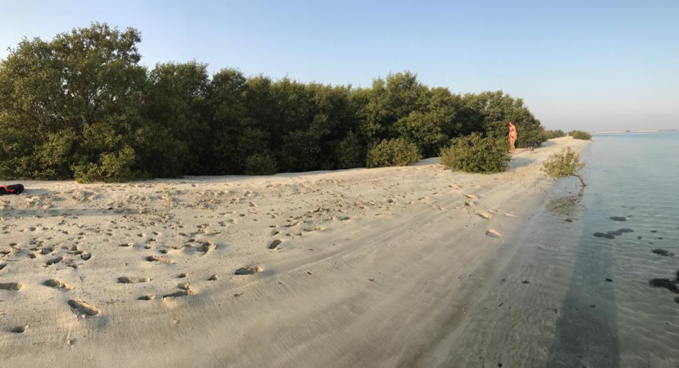 zUZoeCUgXh7iG8OOVXXn1h6RNss 960 мангровые леса что это такое фото