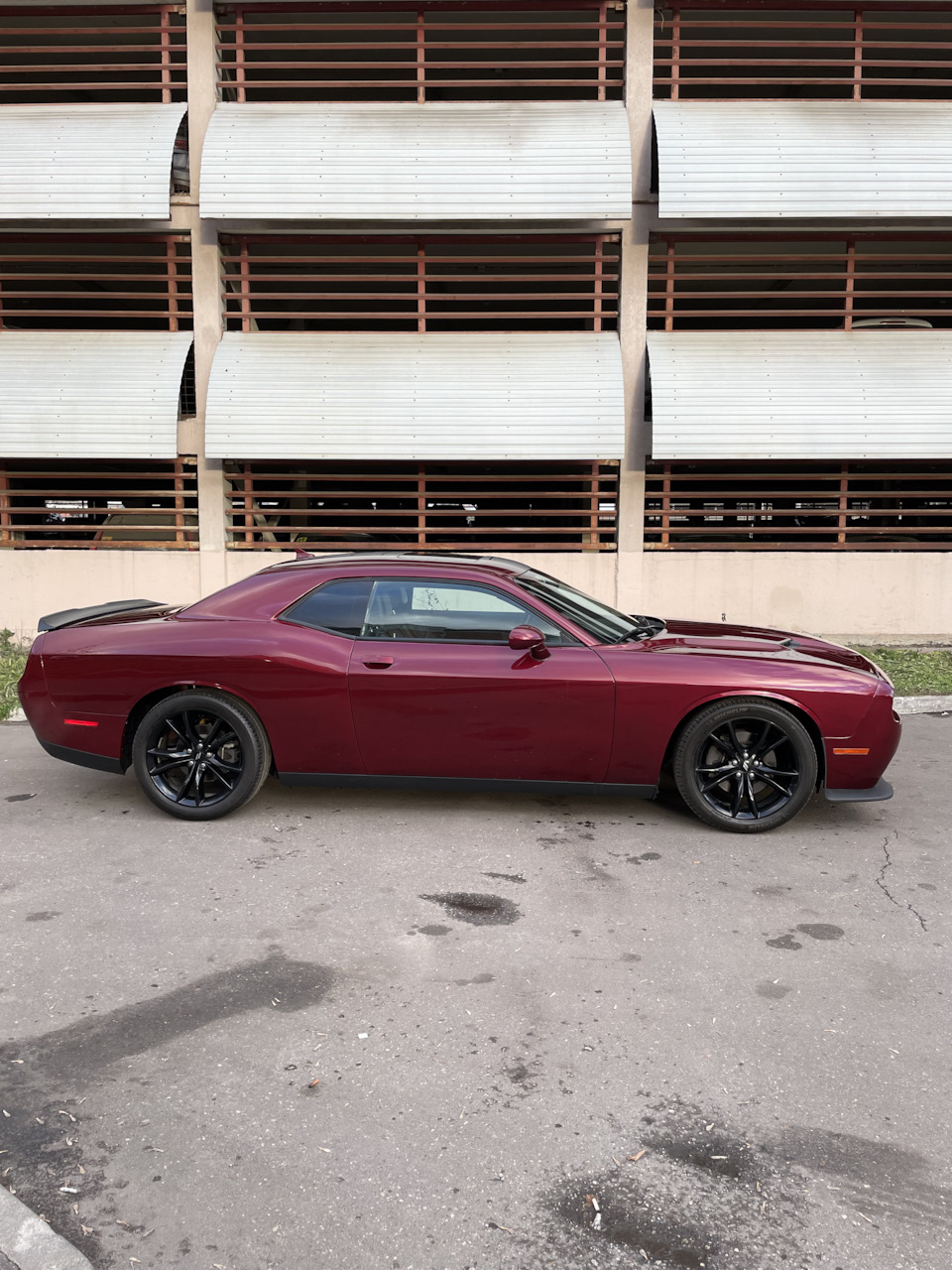 Продаю челленджер — Dodge Challenger, 3,6 л, 2017 года | продажа машины |  DRIVE2