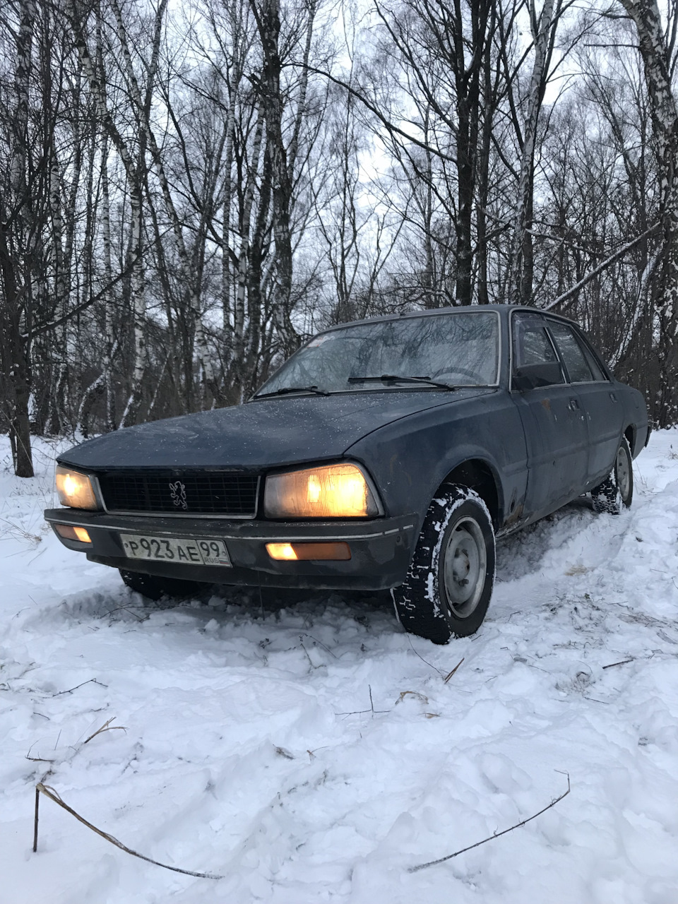 Забытый трудяга Peugeot 505 . Самый последний автомобиль из Франции с  классическим приводом. — DRIVE2