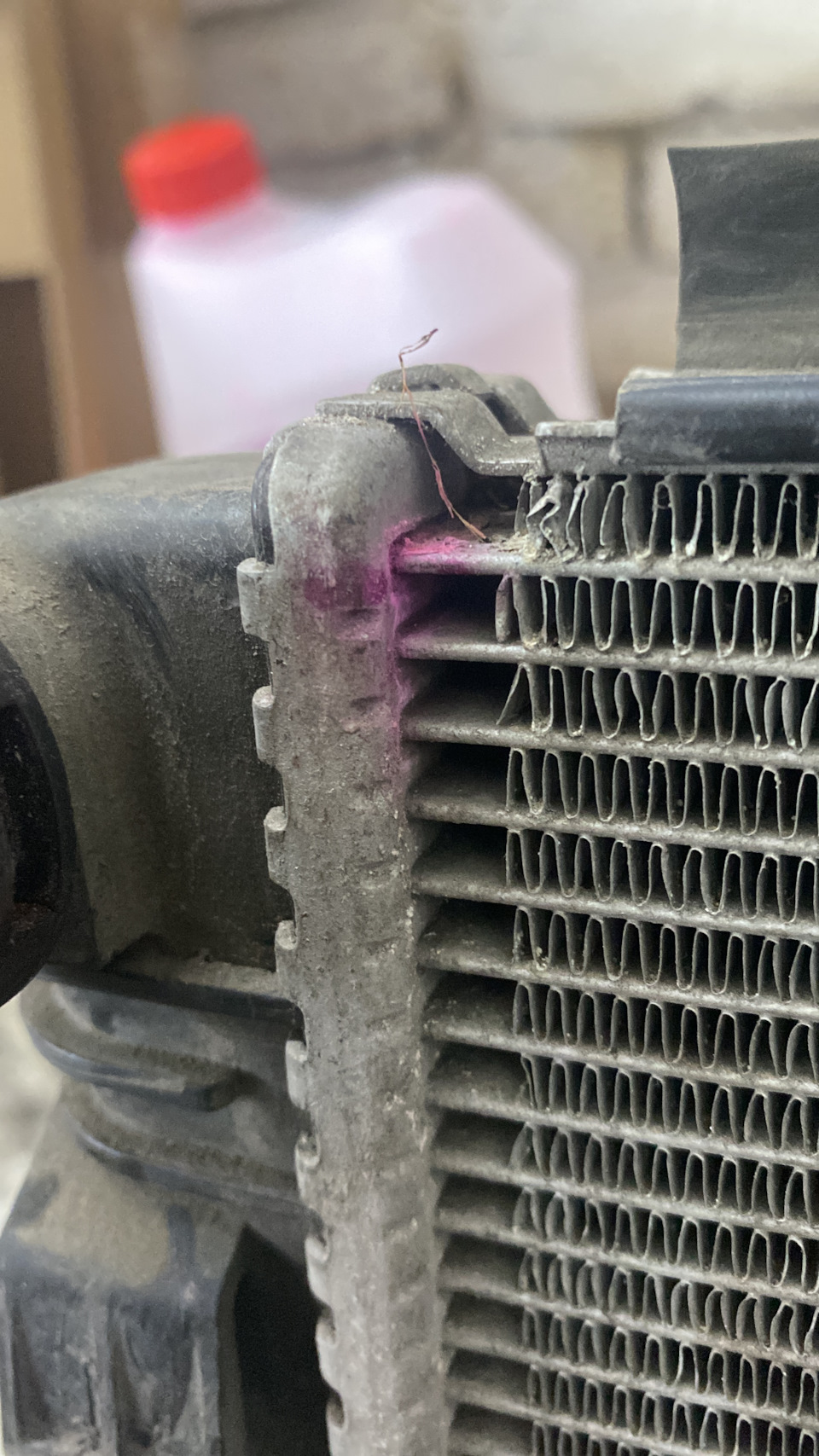 Фото в бортжурнале Skoda Octavia A7 Mk3