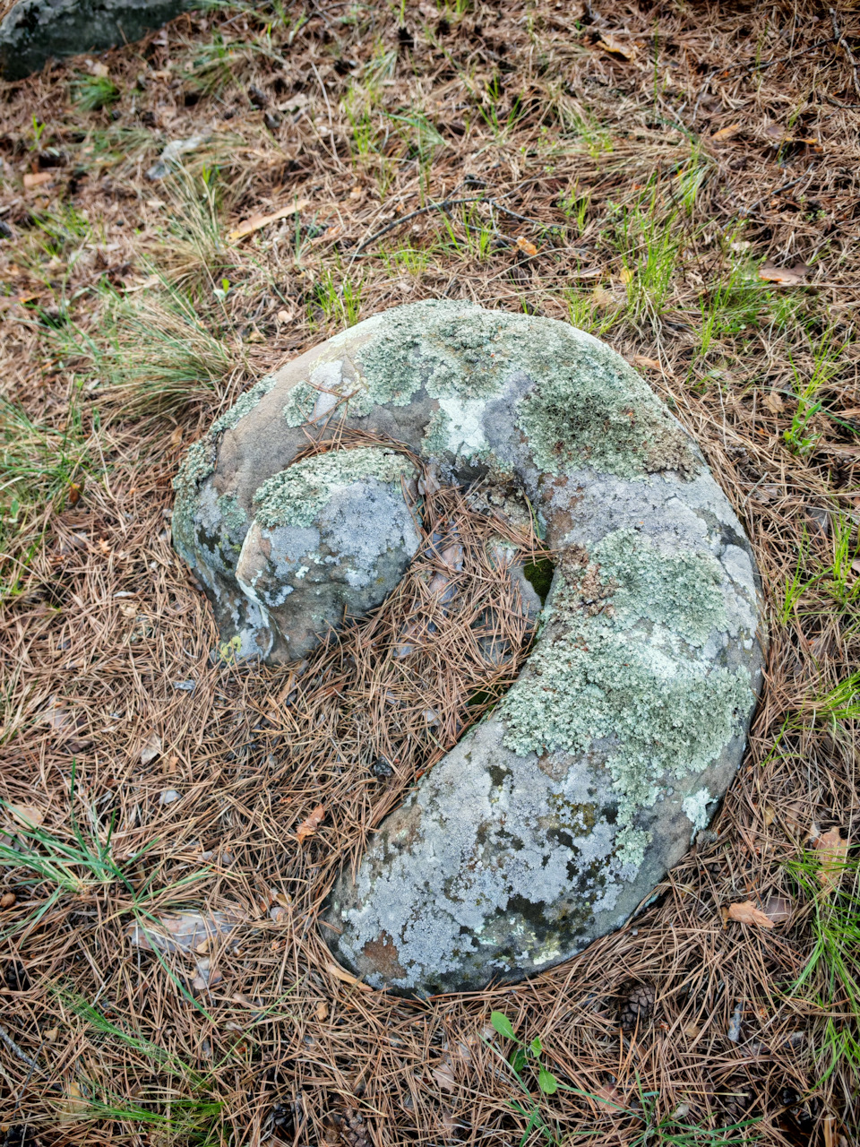 Фото в бортжурнале Mitsubishi Pajero Sport (2G)