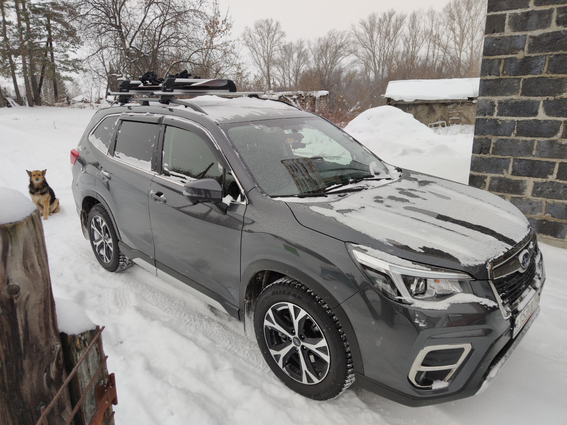 Forester sk5