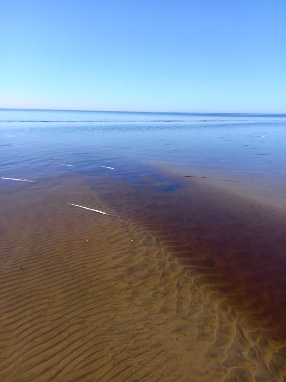 Фото в бортжурнале Renault Sandero 2G