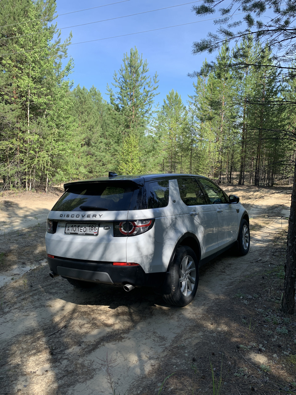 Грибов, нет! — Land Rover Discovery Sport (1G), 2 л, 2017 года | фотография  | DRIVE2