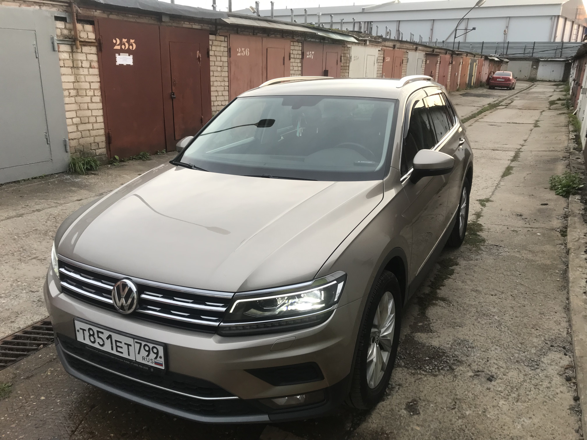 Купить Фольксваген Тигуан Авито Россия Дизель