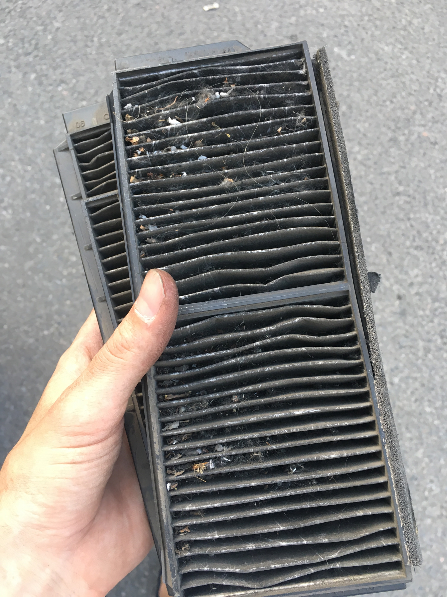 салонный фильтр мазда 3 bk 1. 6 салонный фильтр. фильтр салона мазда 3 бк. салонный фильтр мазда rx8. фильтр салона мазда 3.