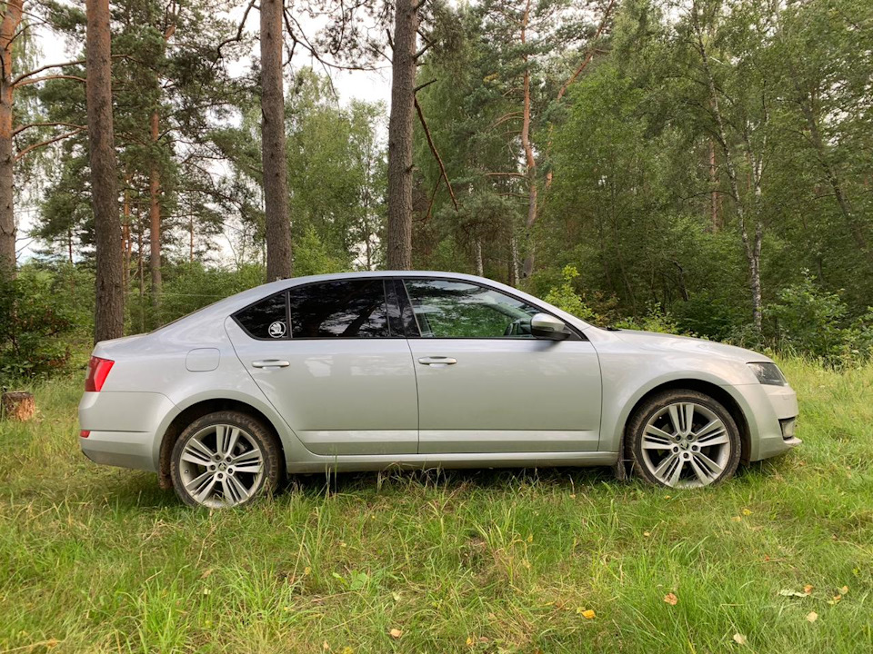 # 78. Мойка в ЮВАО (Люблино/Марьино) — Skoda Octavia A7 Mk3, 1,4 л ...