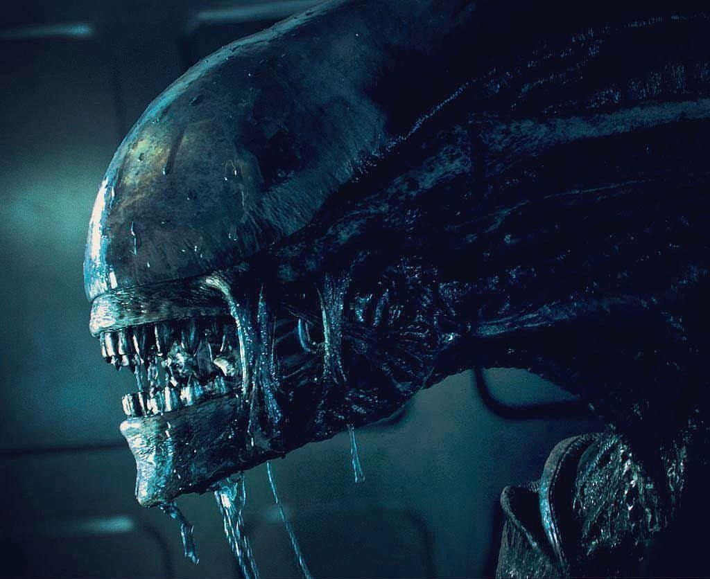 Alien romulus soap2day. Чужой 1 Ксеноморф. Чужой 1979 корабль пришельцев