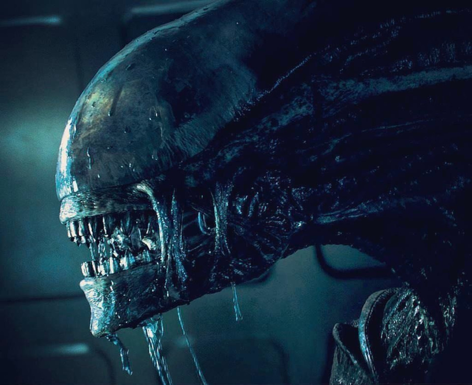 Stills - AVPR: Aliens vs Predator - Requiem