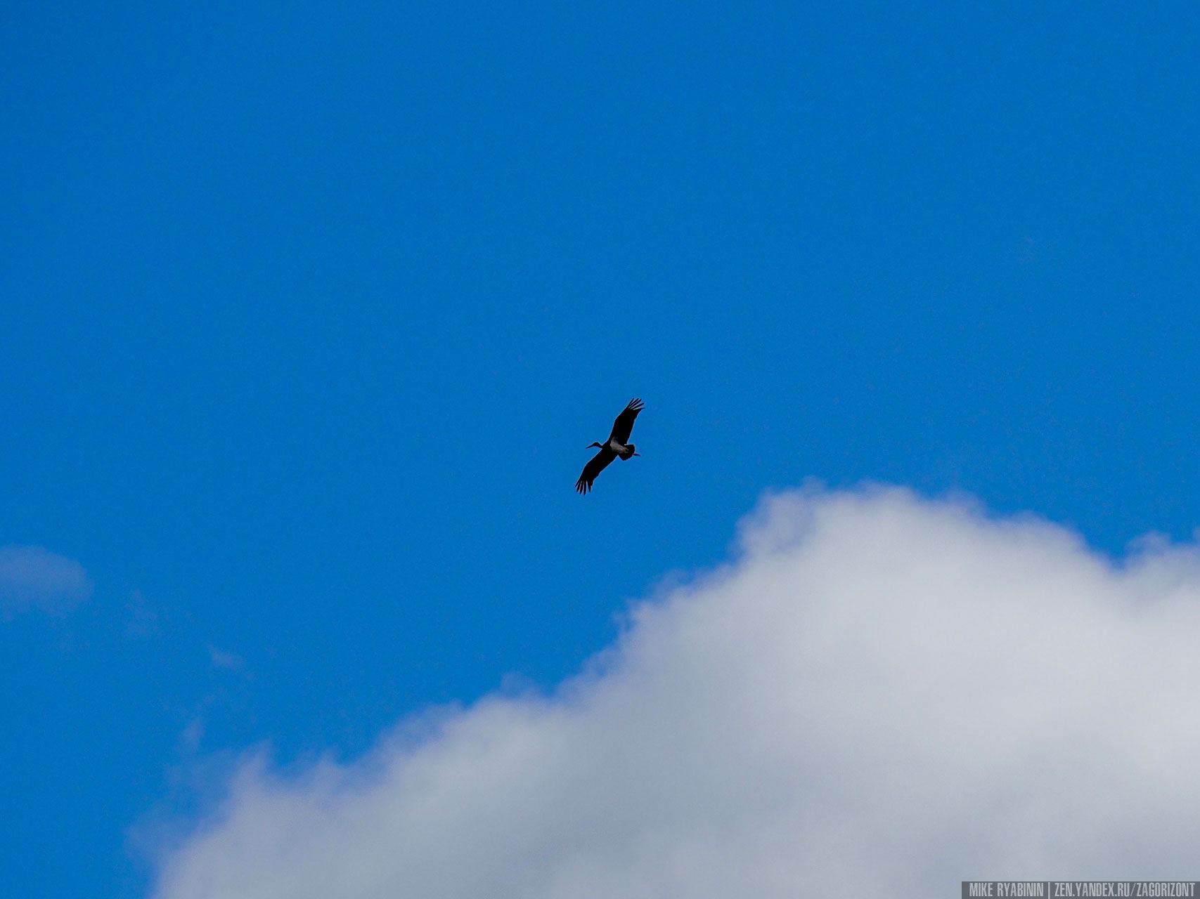 Ленский поход. Первый день водной части путешествия в Тикси на катере ...