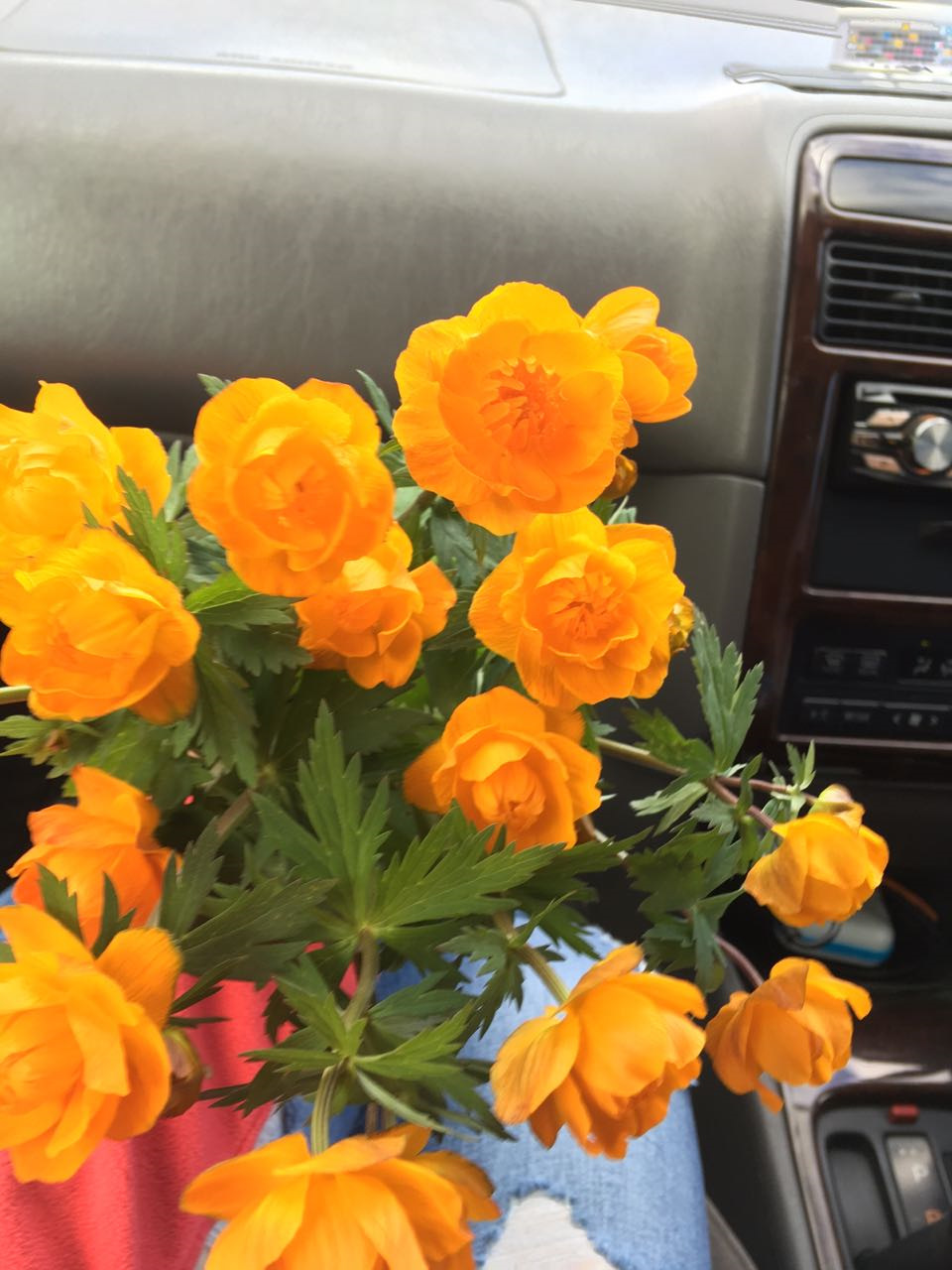 Фото в бортжурнале Toyota Corona Premio (T210)