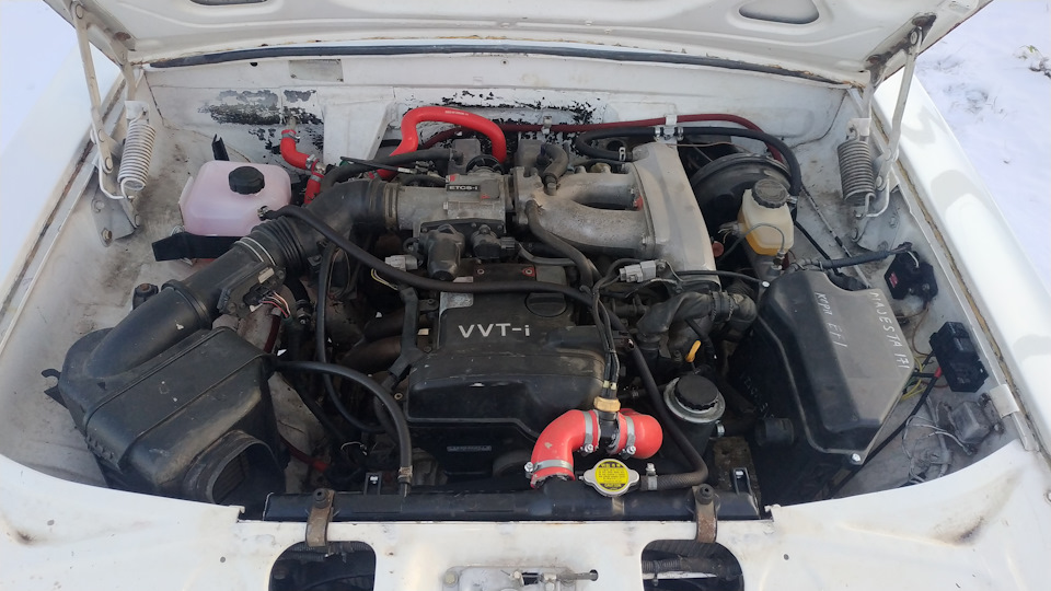 Лампа ближнего света. Филипс — Hyundai Accent (2G), 1,5 л, 2005 года ...