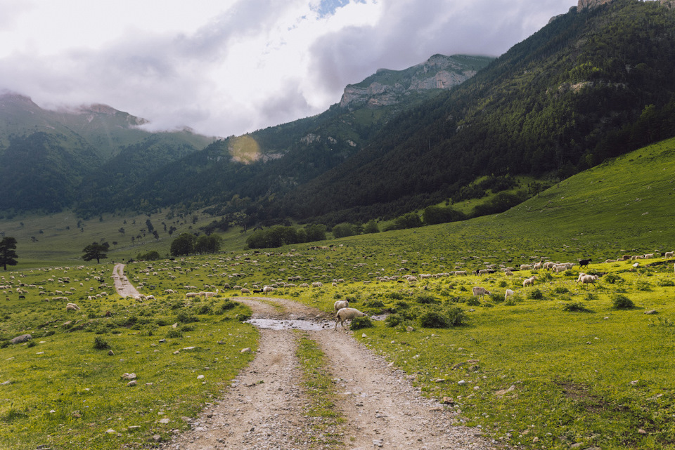 Река маруха карачаево черкессия что означает название. znB52Eg Wt4fvCUKpgkhZwptu64 960. Река маруха карачаево черкессия что означает название фото. Река маруха карачаево черкессия что означает название-znB52Eg Wt4fvCUKpgkhZwptu64 960. картинка Река маруха карачаево черкессия что означает название. картинка znB52Eg Wt4fvCUKpgkhZwptu64 960. Река Маруха протекает по территории туристического района Архыза в Карачаево-Черкесской республике. Река маруха карачаево черкессия что означает название. znB52Eg Wt4fvCUKpgkhZwptu64 960. Река маруха карачаево черкессия что означает название фото. Река маруха карачаево черкессия что означает название-znB52Eg Wt4fvCUKpgkhZwptu64 960. картинка Река маруха карачаево черкессия что означает название. картинка znB52Eg Wt4fvCUKpgkhZwptu64 960. Река Маруха протекает по территории туристического района Архыза в Карачаево-Черкесской республике.