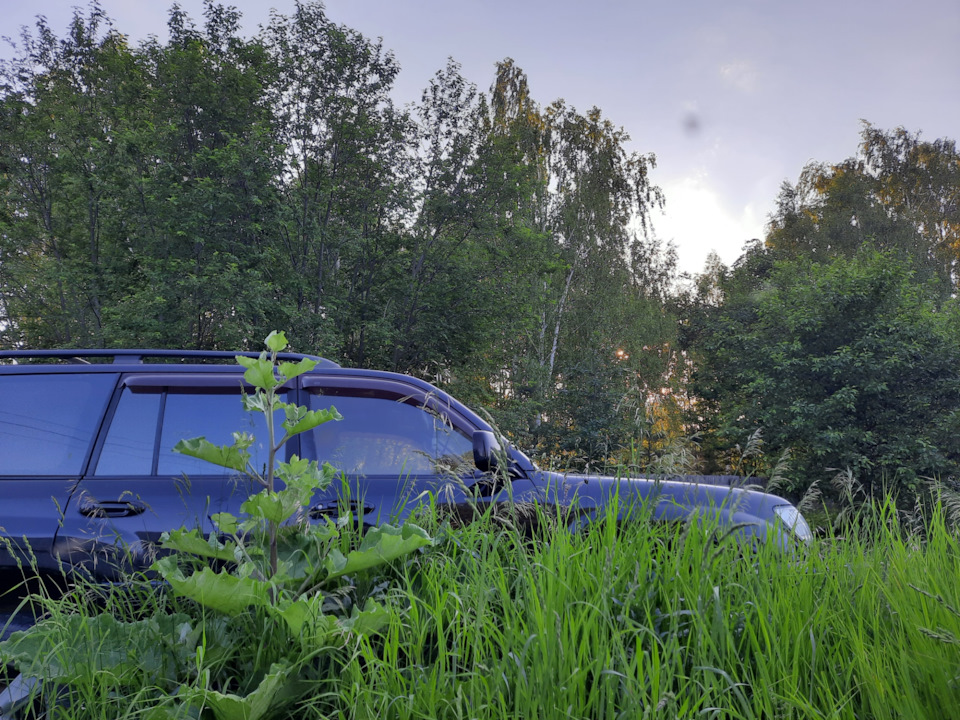 Фото в бортжурнале Toyota Land Cruiser 100