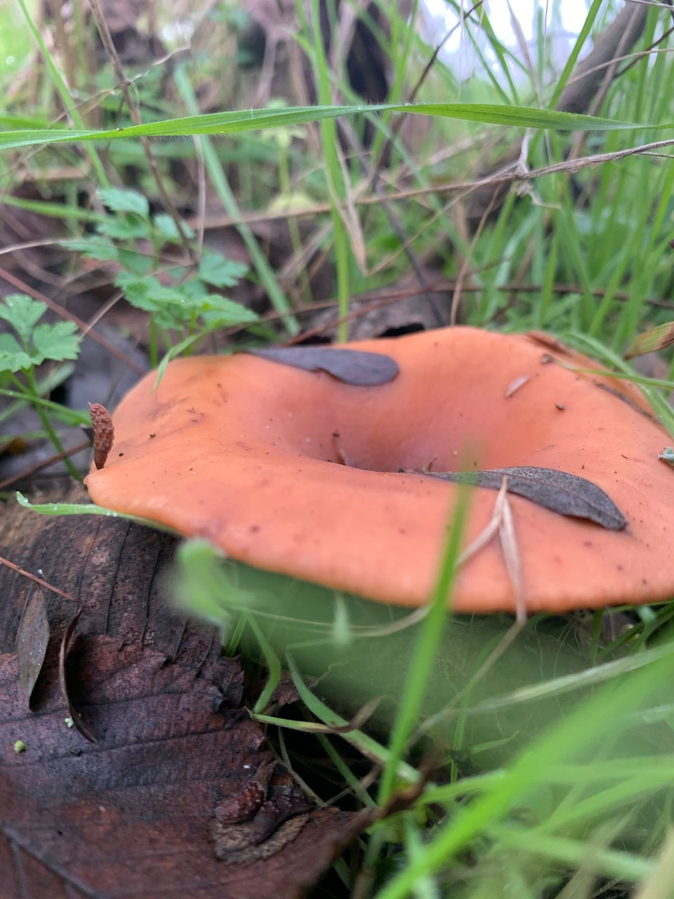 Фото в бортжурнале УАЗ Patriot