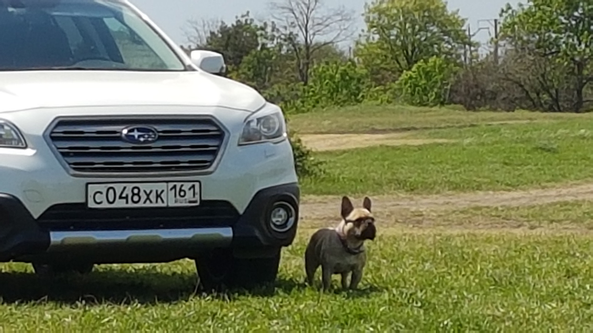 Продаю — Subaru Outback (BS), 2,5 л, 2016 года | продажа машины | DRIVE2