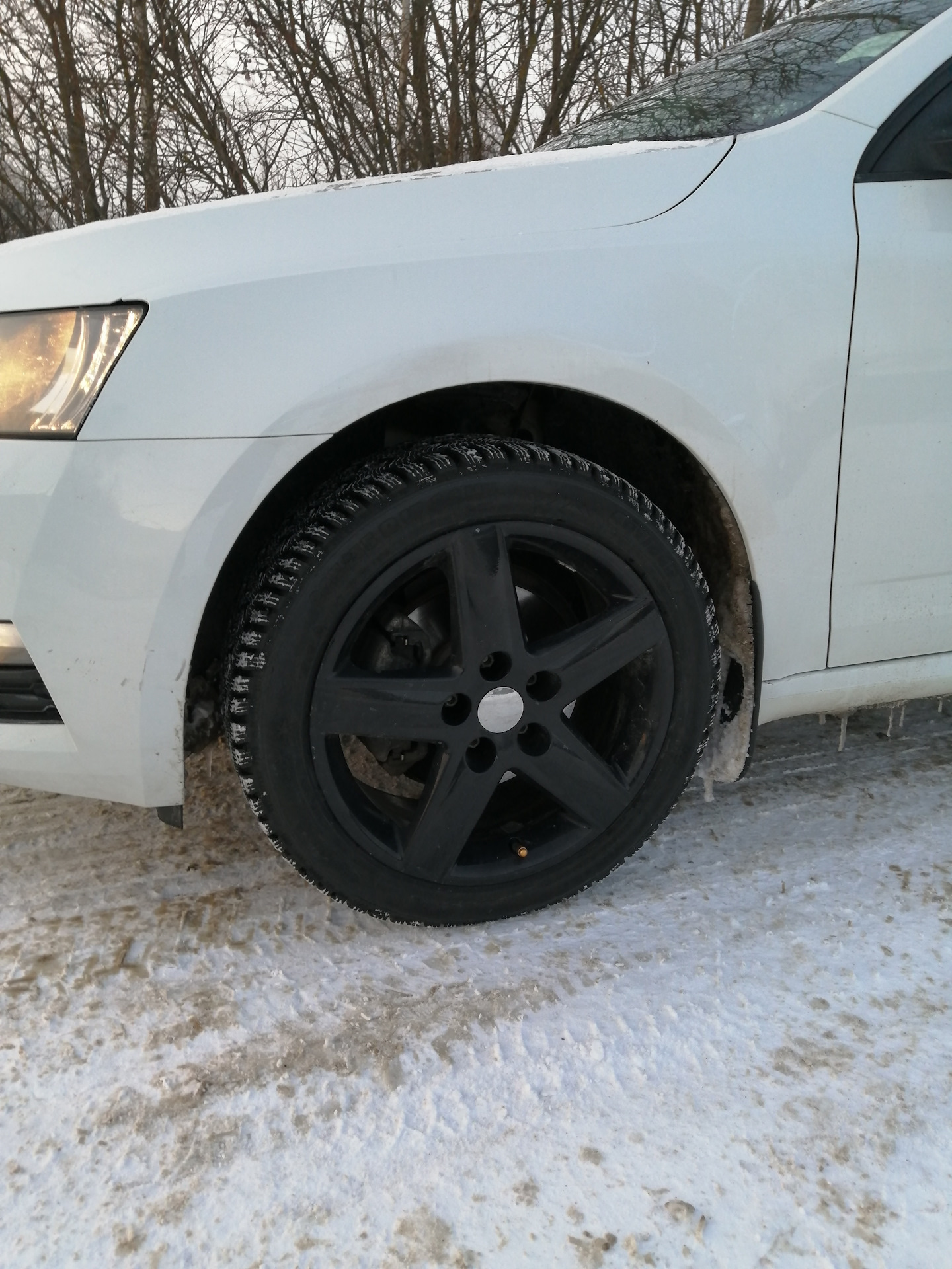 Зимние липучки. — Skoda Octavia A7 Mk3, 1,4 л, 2018 года | шины | DRIVE2