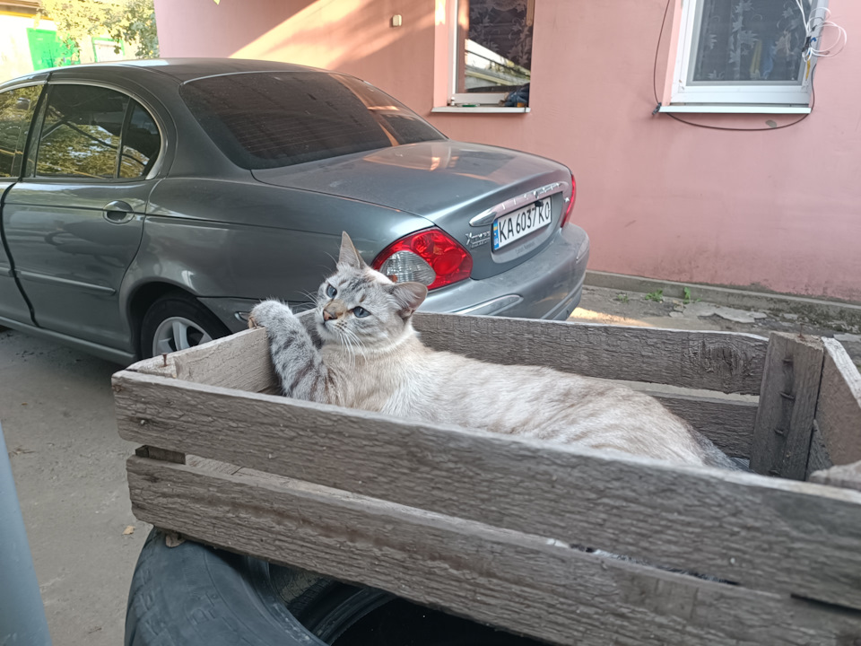 Котосим дальше. — Jaguar X-Type