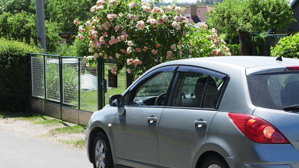 На холодную дизелит. — Nissan Tiida (1G), 1,6 л, 2008 года | поломка ...