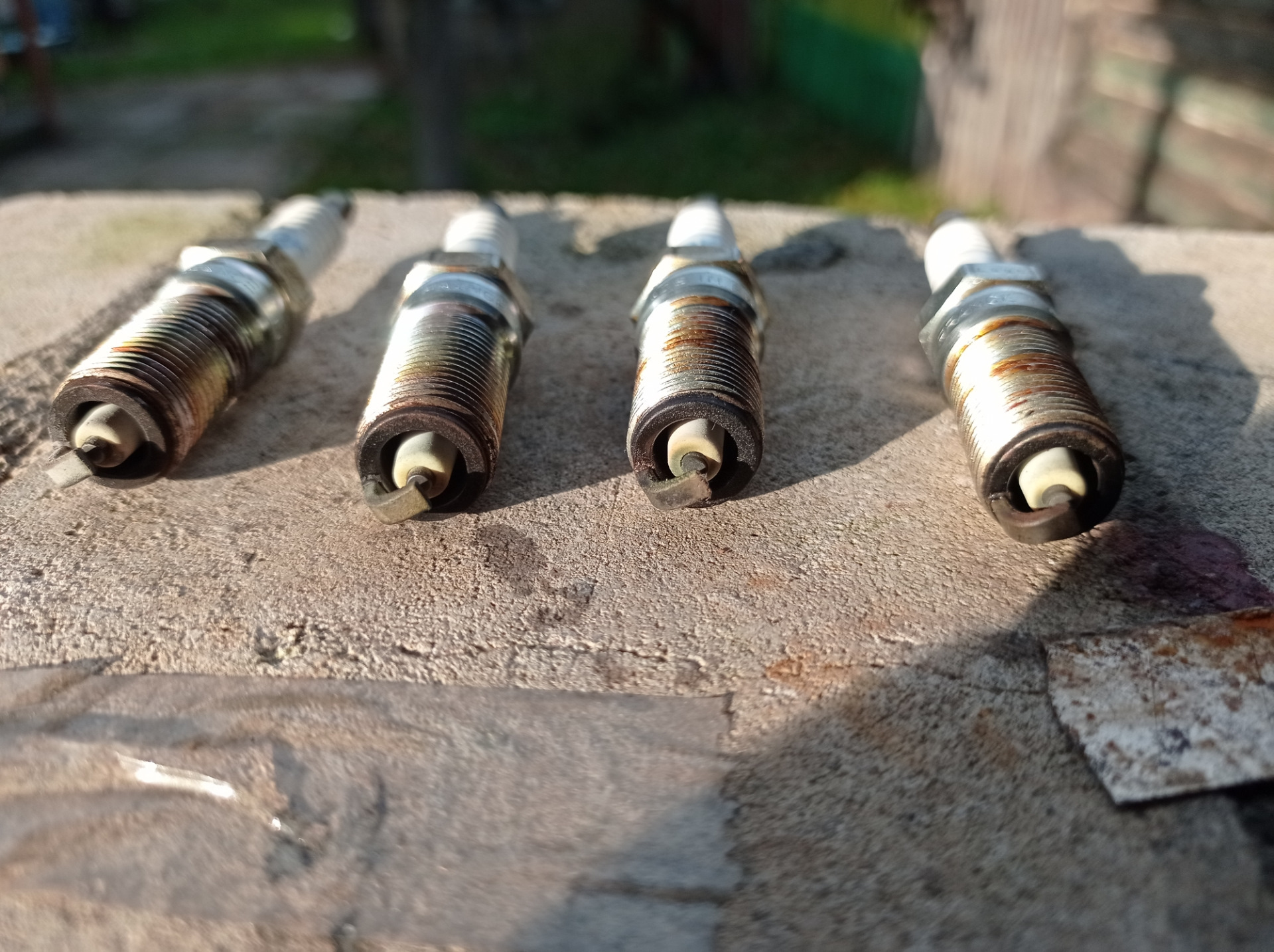 Замена свечей зажигания. Масло в свечных колодцах. — Ford Mondeo II, 1 ...