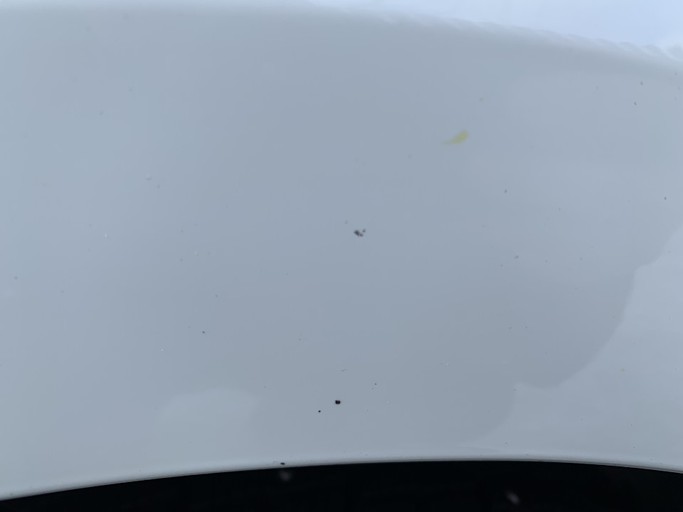 Гудрон зимой? — Skoda Rapid (1G), 1,6 л, 2018 года | наблюдение | DRIVE2