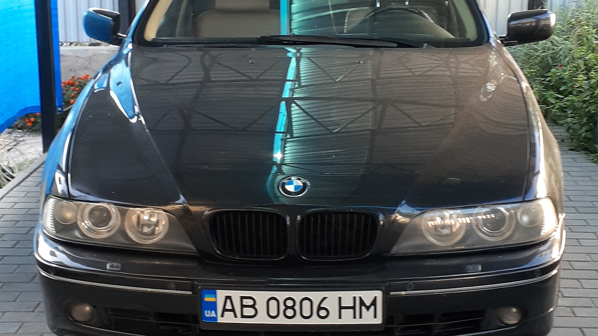 BMW 5 series (E39) 3.0 дизельный 2002 | m57d30 на DRIVE2