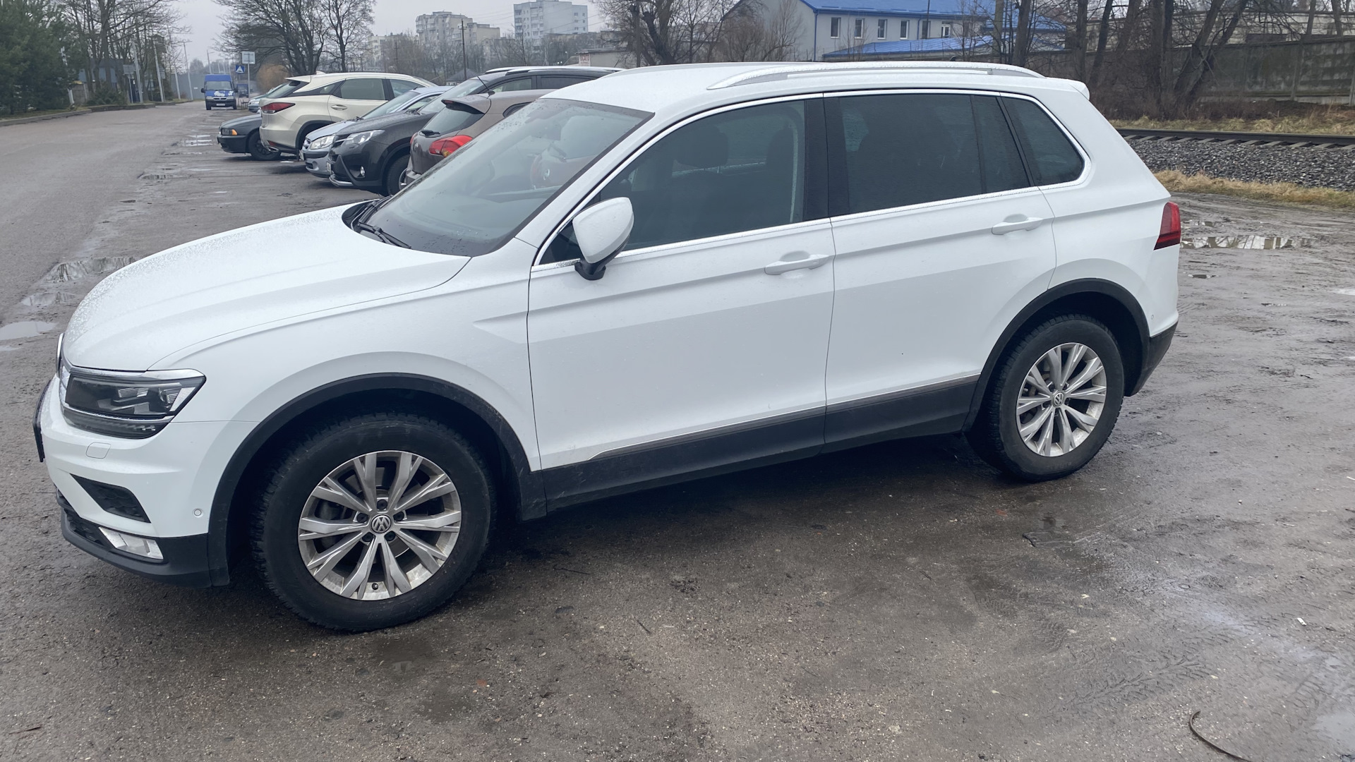 Volkswagen tiguan отзывы владельцев