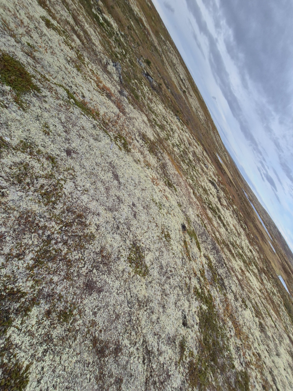 Фото в бортжурнале Volvo XC70 III