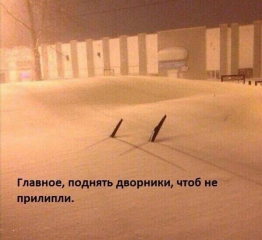 11. Как Autodoc скатился и зачем надо поднимать дворники зимой? — Lada  Калина 2 универсал, 1,6 л, 2018 года | аксессуары | DRIVE2