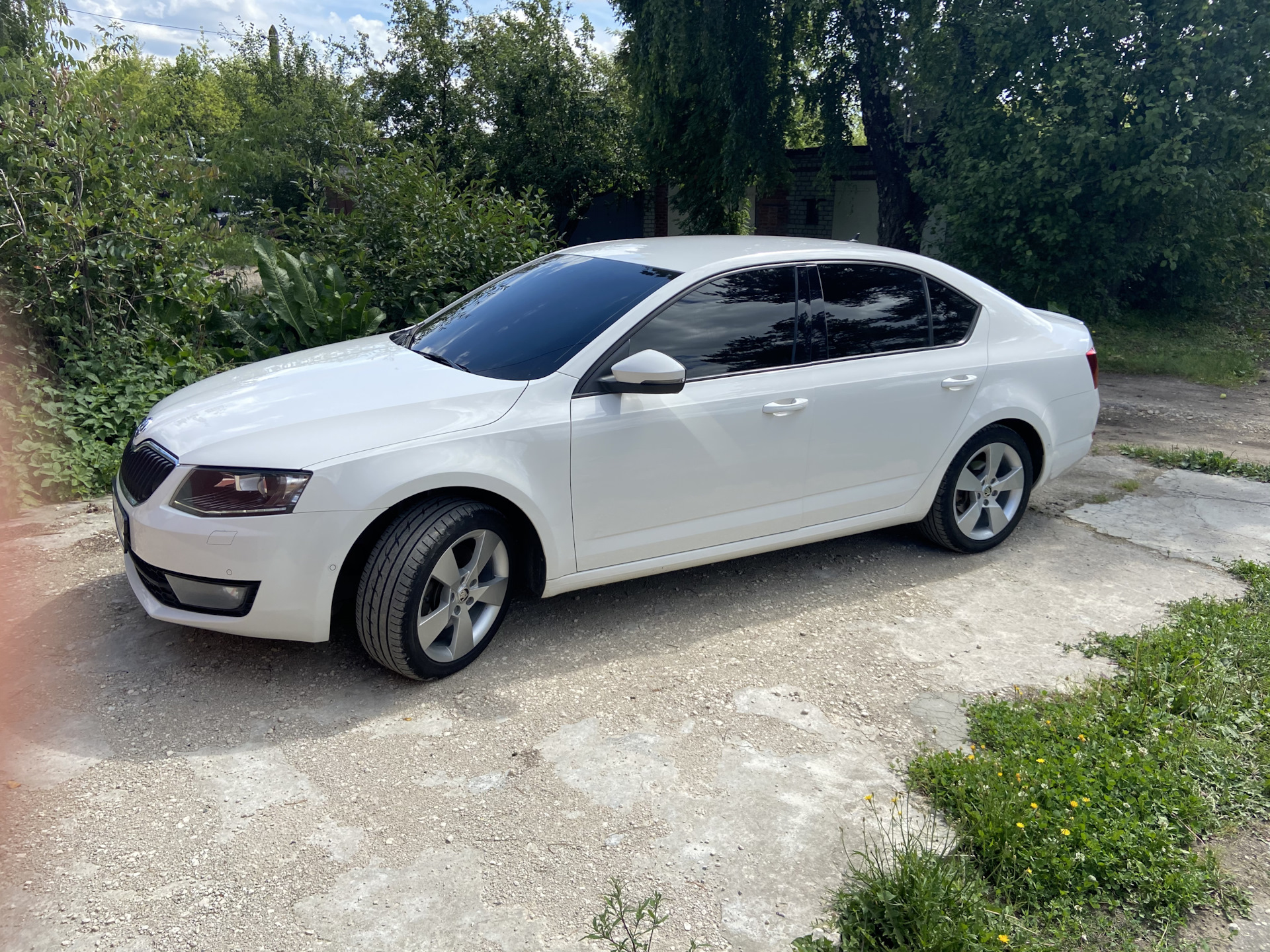 Шкода 1.8 турбо. Denom r17 Skoda. Шкода Октавия 1.8 турбо. Диски Denom r17 Skoda. Октавия 1.8 турбо 2014г.