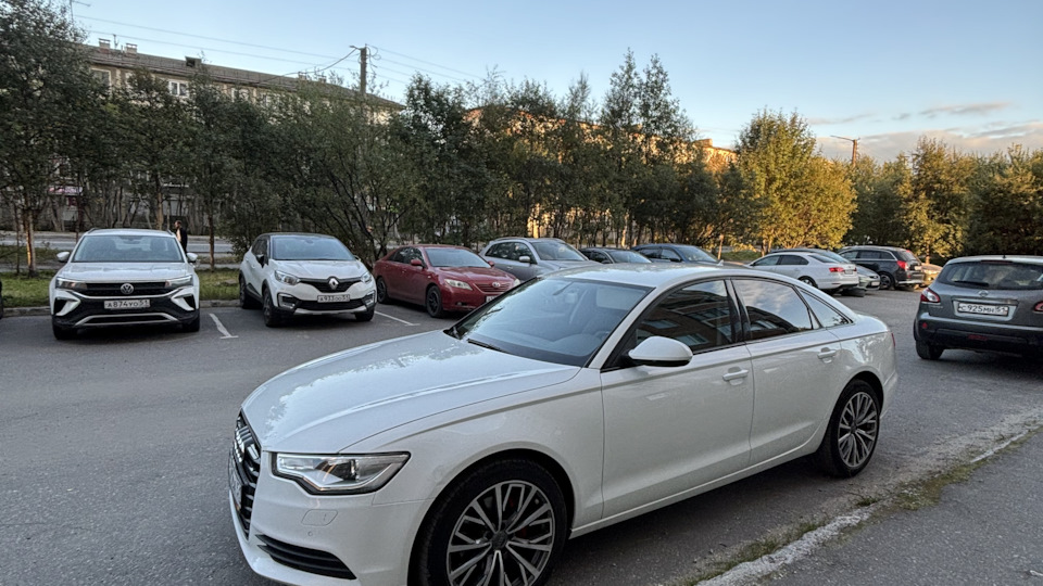 Audi A6 Одноногая белка
