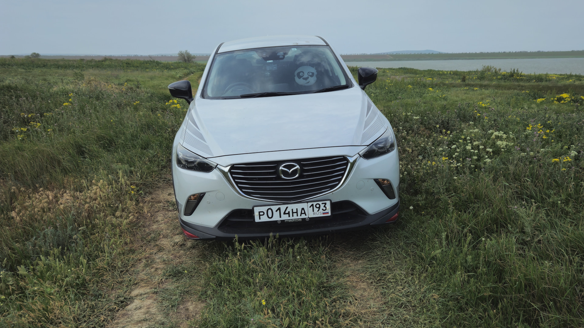 Mazda CX-3 1.5 дизельный 2015 | Мася на DRIVE2